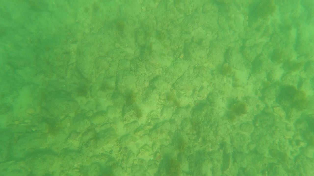Second frame showing the Los Barriles underwater floor with scattered rocks, faint pale seabed patches, green color cast, and no visible people.