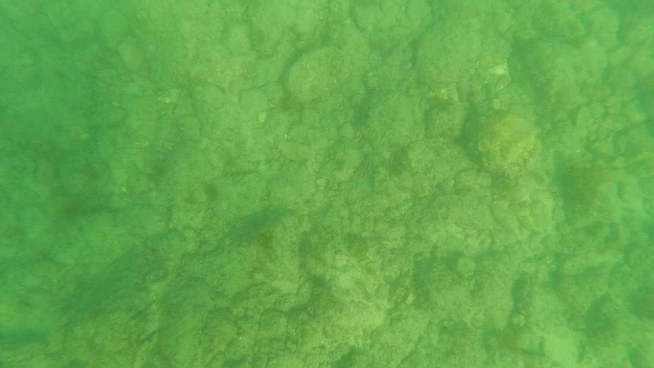 Mid-clip view of the rocky underwater seabed in Los Barriles, with denser stone texture under green rippled water and no visible people.