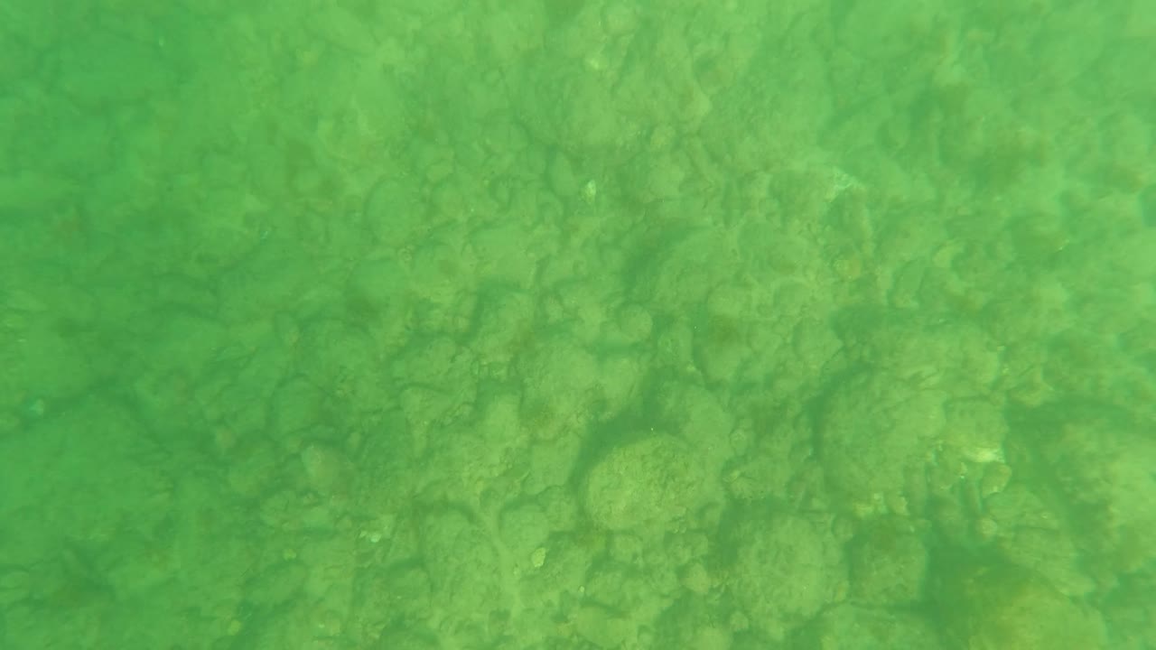 Fourth frame of the Los Barriles seabed, where rounded stones and muted algae-like color patches remain visible through hazy green water with no visible people.