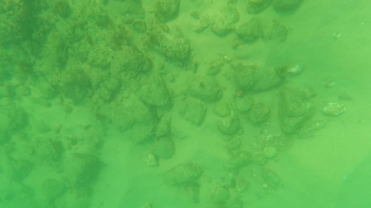 Green-tinted underwater frame in Los Barriles, Baja California Sur showing sandy seabed, scattered rocks, faint algae, and no visible people.