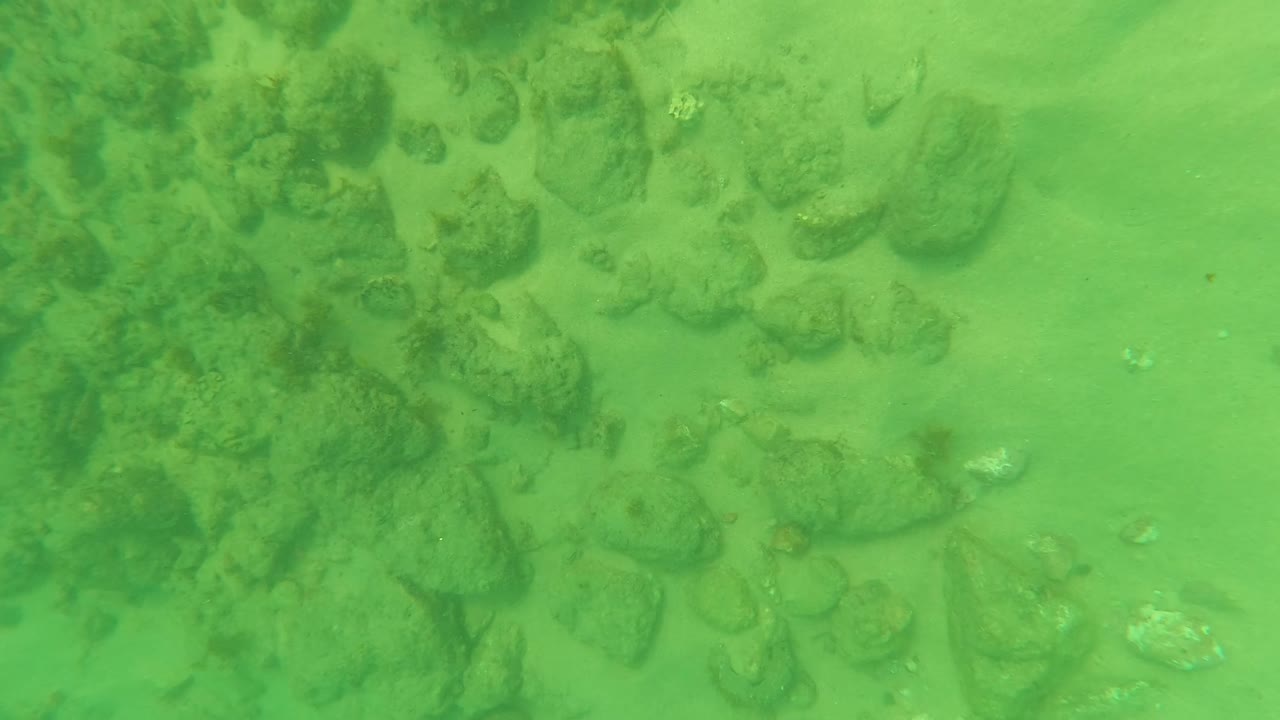 Rocky seabed in green water with sand between stones.