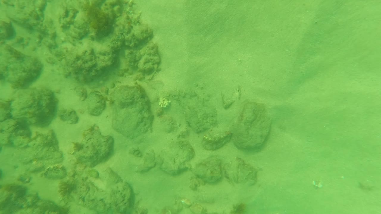 Green underwater frame from Los Barriles, Baja California Sur showing scattered rocks on sand, a small fish near the bottom, and no visible people.