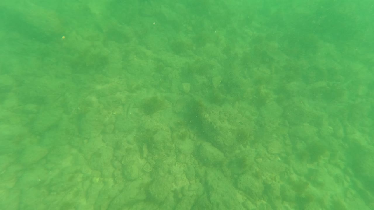 Opening underwater frame in Los Barriles, Baja California Sur, showing green-tinted clear water over a rocky seabed with faint small fish and no visible people.