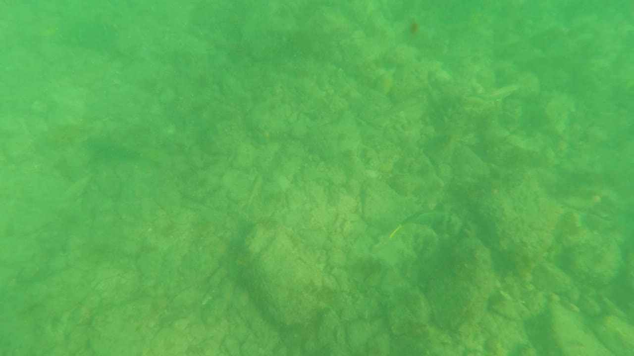 Underwater seabed with green water and scattered rocks