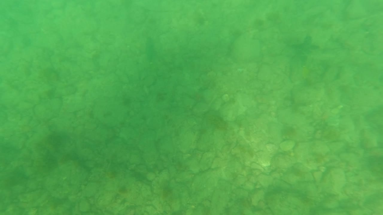 Opening underwater frame in Los Barriles, Baja California Sur, showing green clear water above a rocky seabed with no visible people.