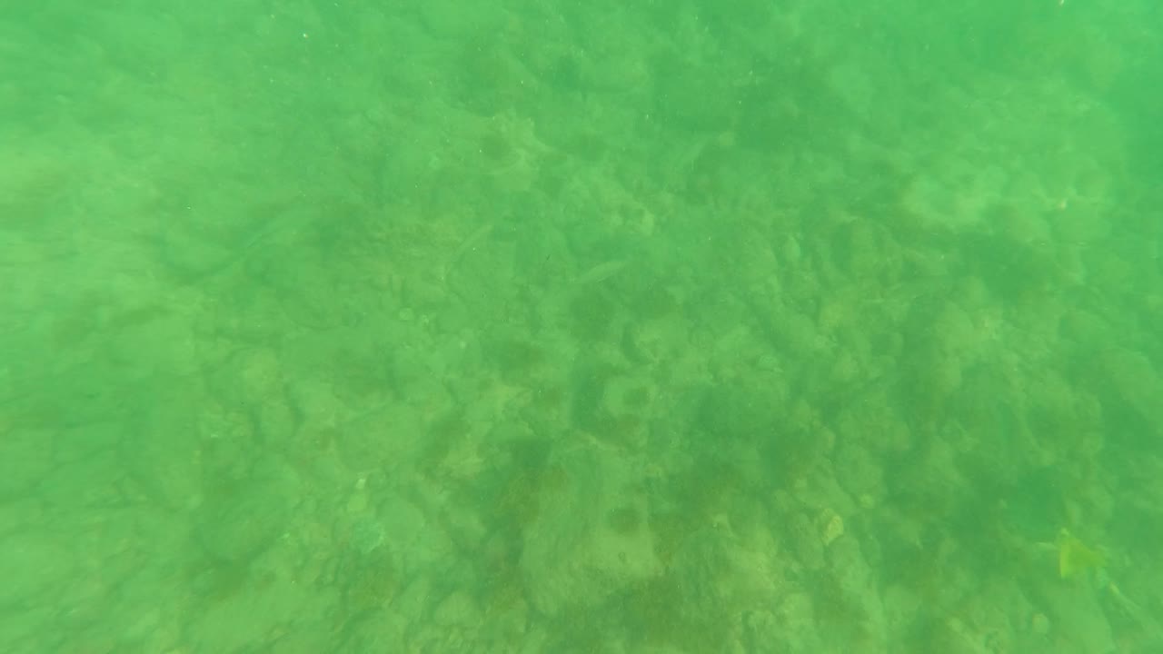 Mid-clip underwater view from Los Barriles, Baja California Sur, with clear green water, submerged rocks, and no visible people.