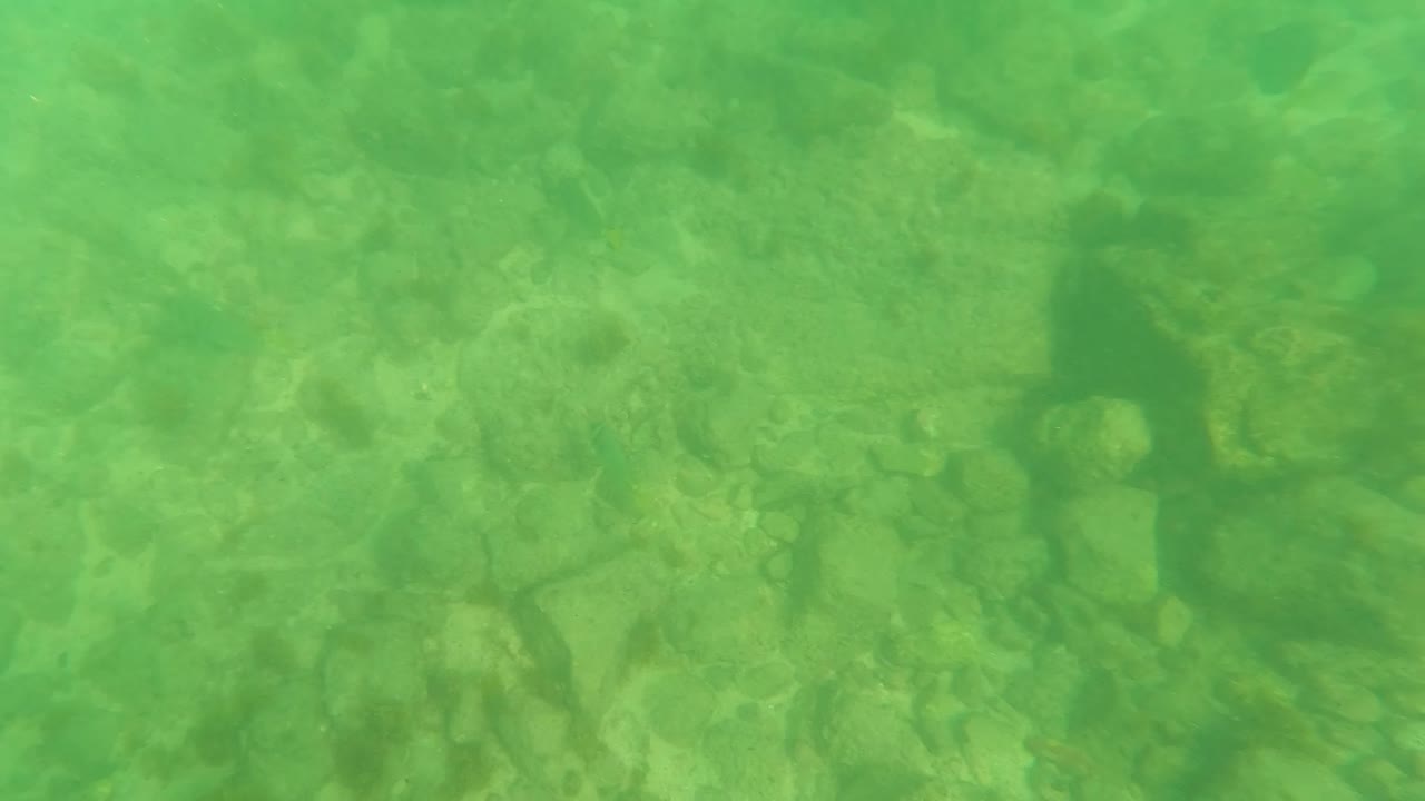 Green underwater view of rocks and faint small fish.