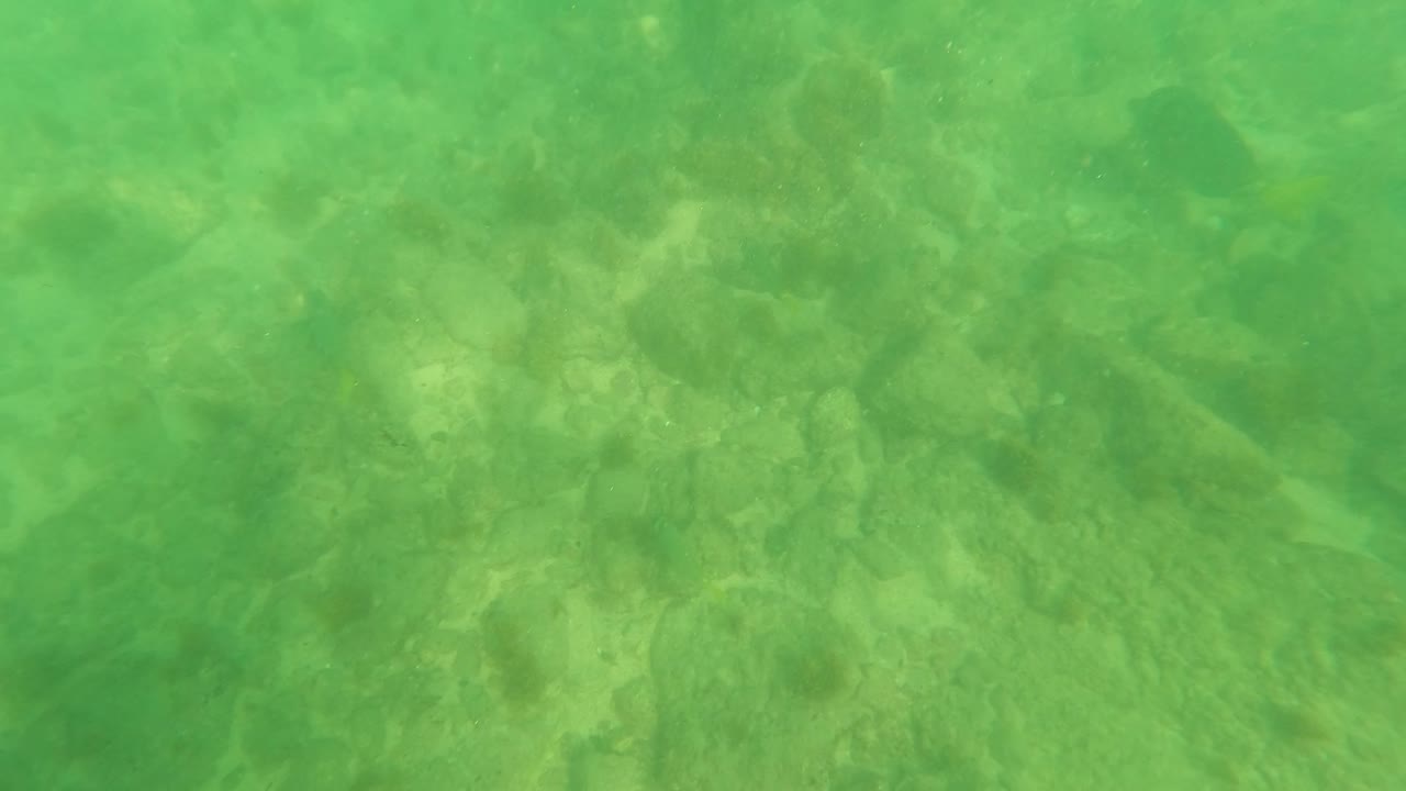 At 0:01, the frame holds on clear green water over submerged stones in Los Barriles, Baja California Sur, with small fish faintly visible and no visible people.