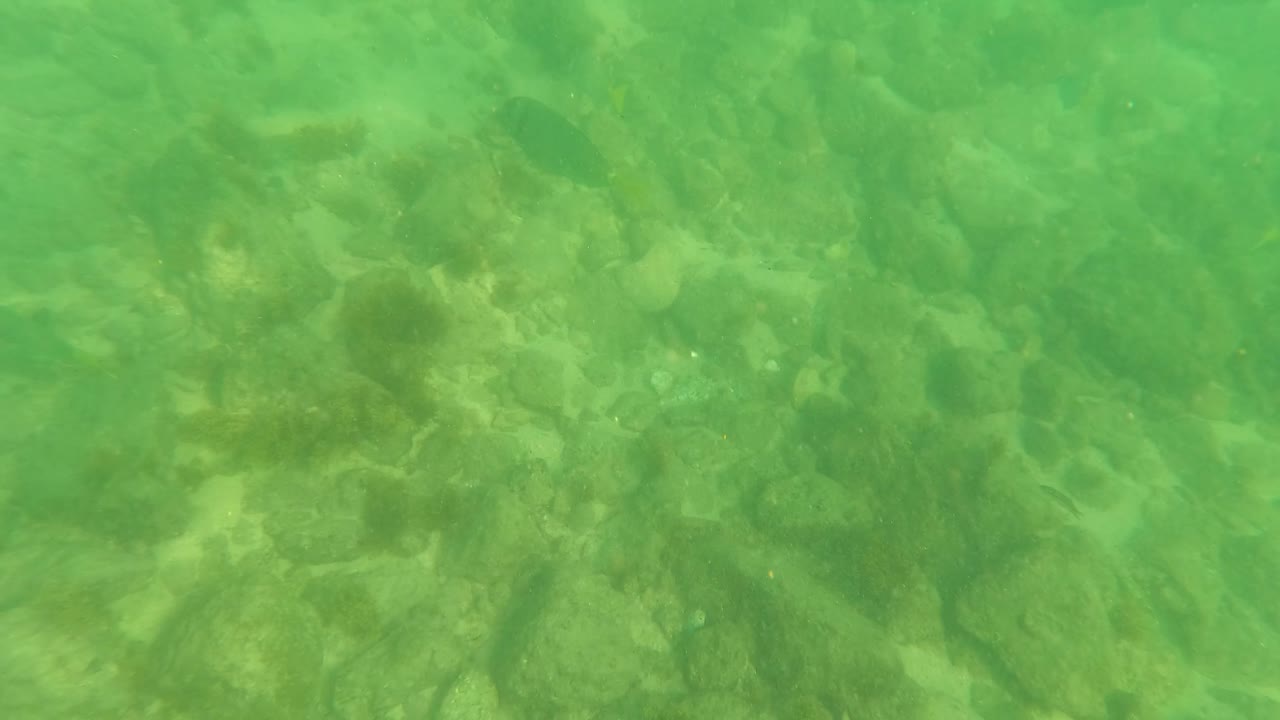 At 0:02, the underwater view in Los Barriles, Baja California Sur shows a denser patch of rocks and pebbles beneath green water, with no visible people.