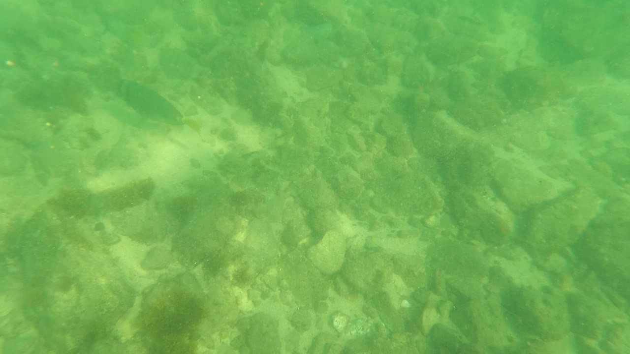 At 0:03, greenish water in Los Barriles, Baja California Sur passes over a shallow rocky bottom with scattered pebbles and no visible people.