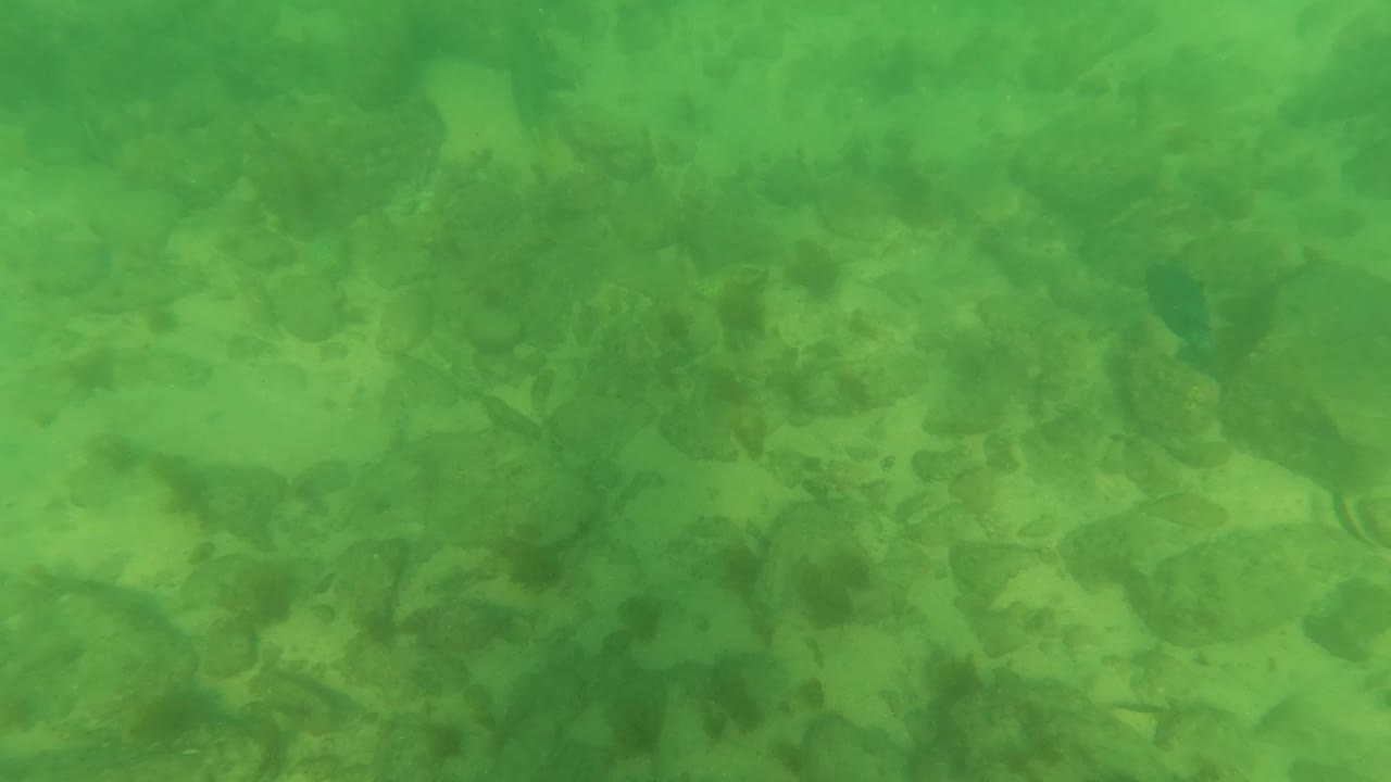 The frame looks through green water at uneven rocks, sand, and darker patches of marine growth in Los Barriles, with no visible people.