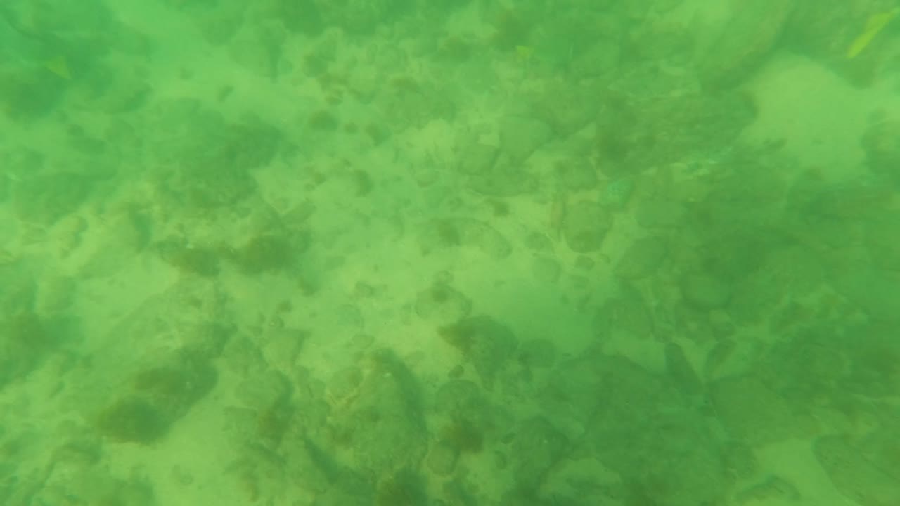 Hazy green underwater view over a rocky sandy bottom