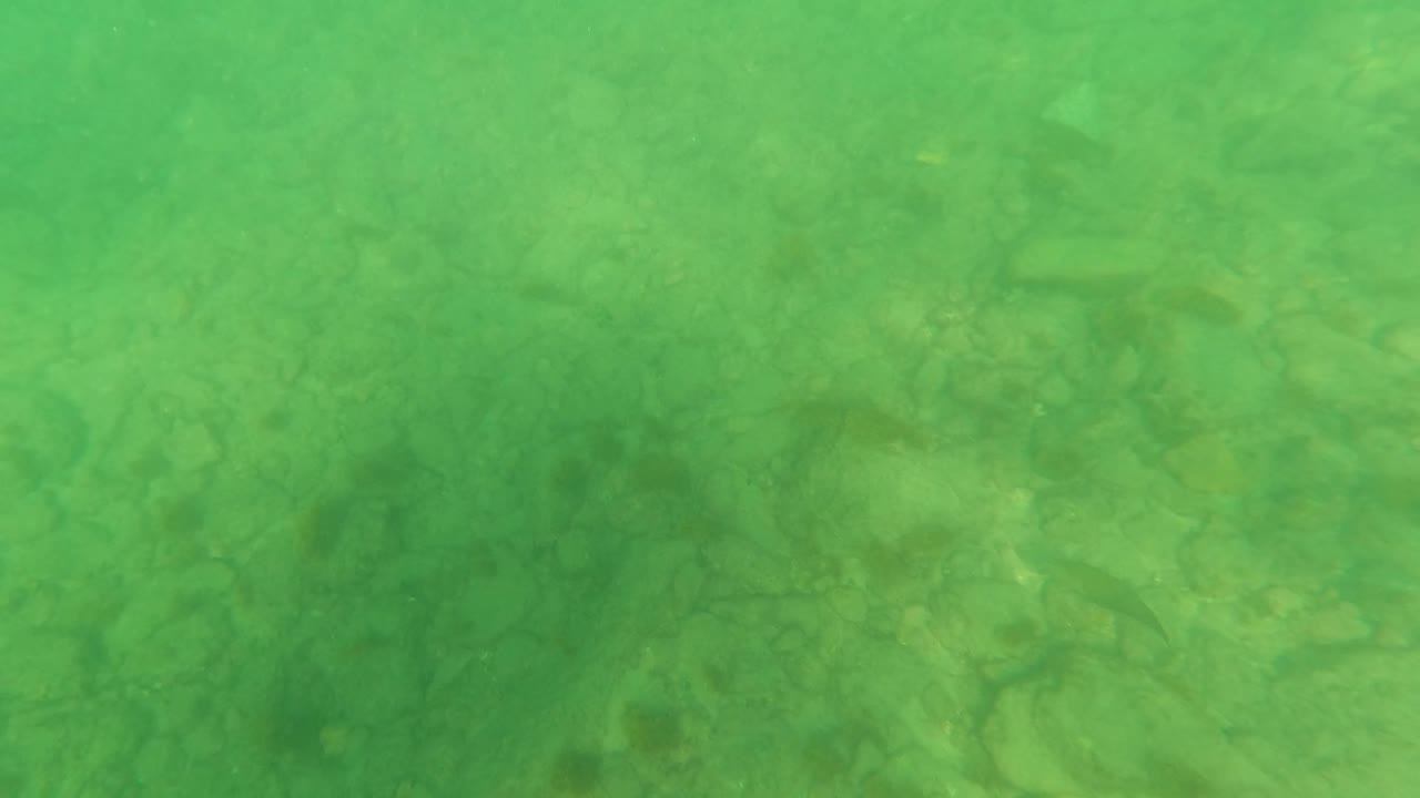 Opening frame of green-tinted shallow water over a rocky sandy sea floor in Los Barriles, Baja California Sur, with no visible people.