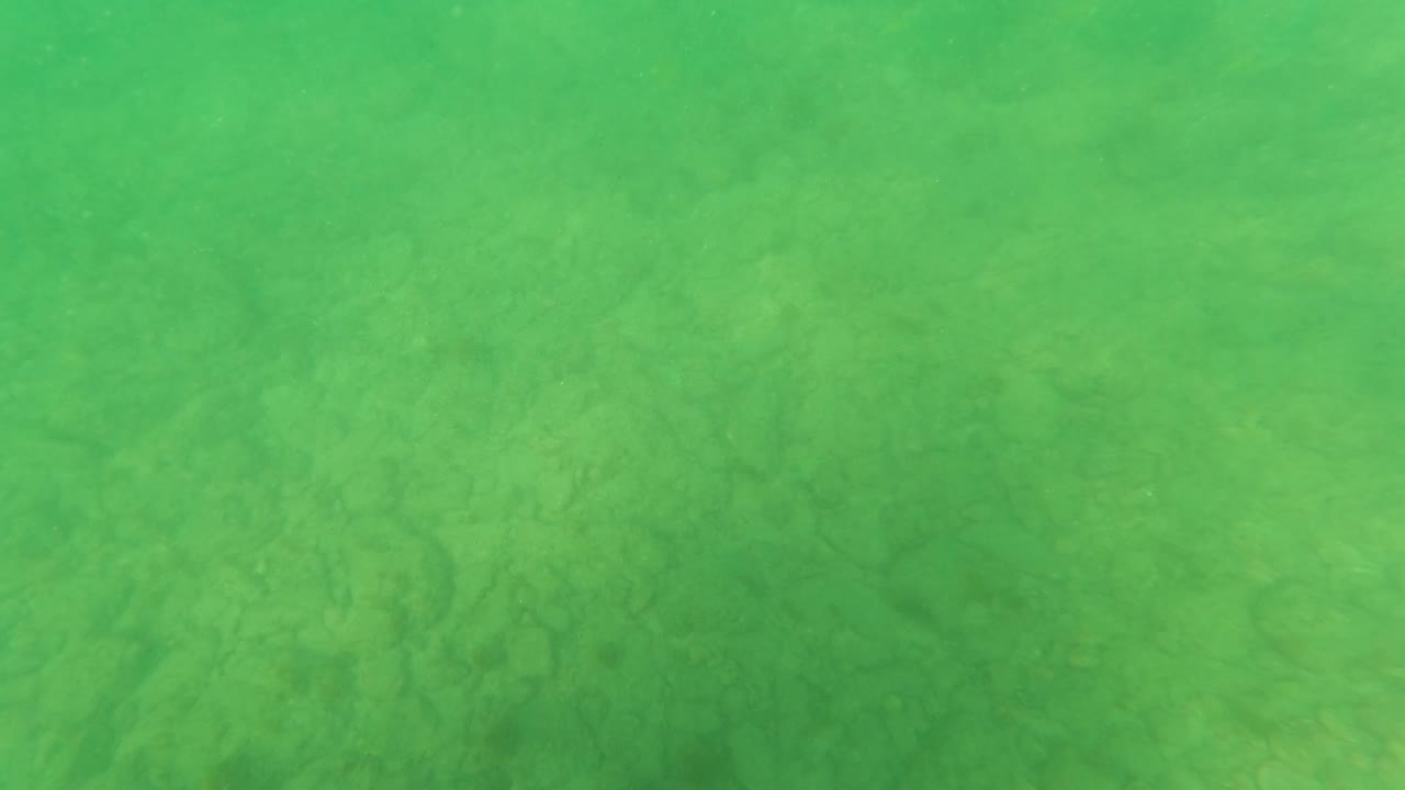 Green underwater haze softens the view of the rocky seabed in Los Barriles, Baja California Sur, with no visible people.