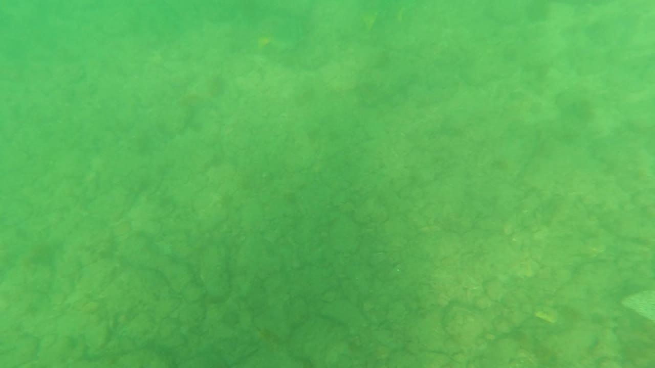 A shallow rocky and sandy sea floor fills the frame in Los Barriles, Baja California Sur, under green natural light with no visible people.