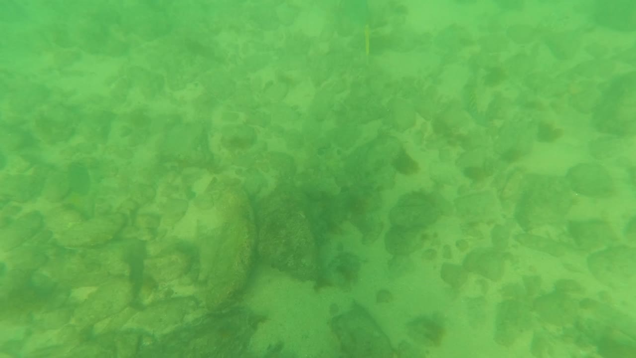 Opening underwater frame in Los Barriles, Baja California Sur, showing green-tinted water over a rocky pebble seabed with no visible people.