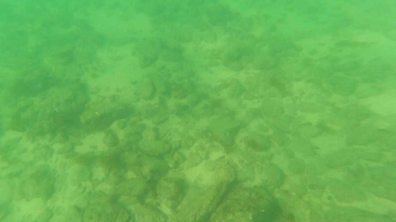 Second underwater frame in Los Barriles, Baja California Sur, with the rocky bottom filling the view through green water and no visible people.