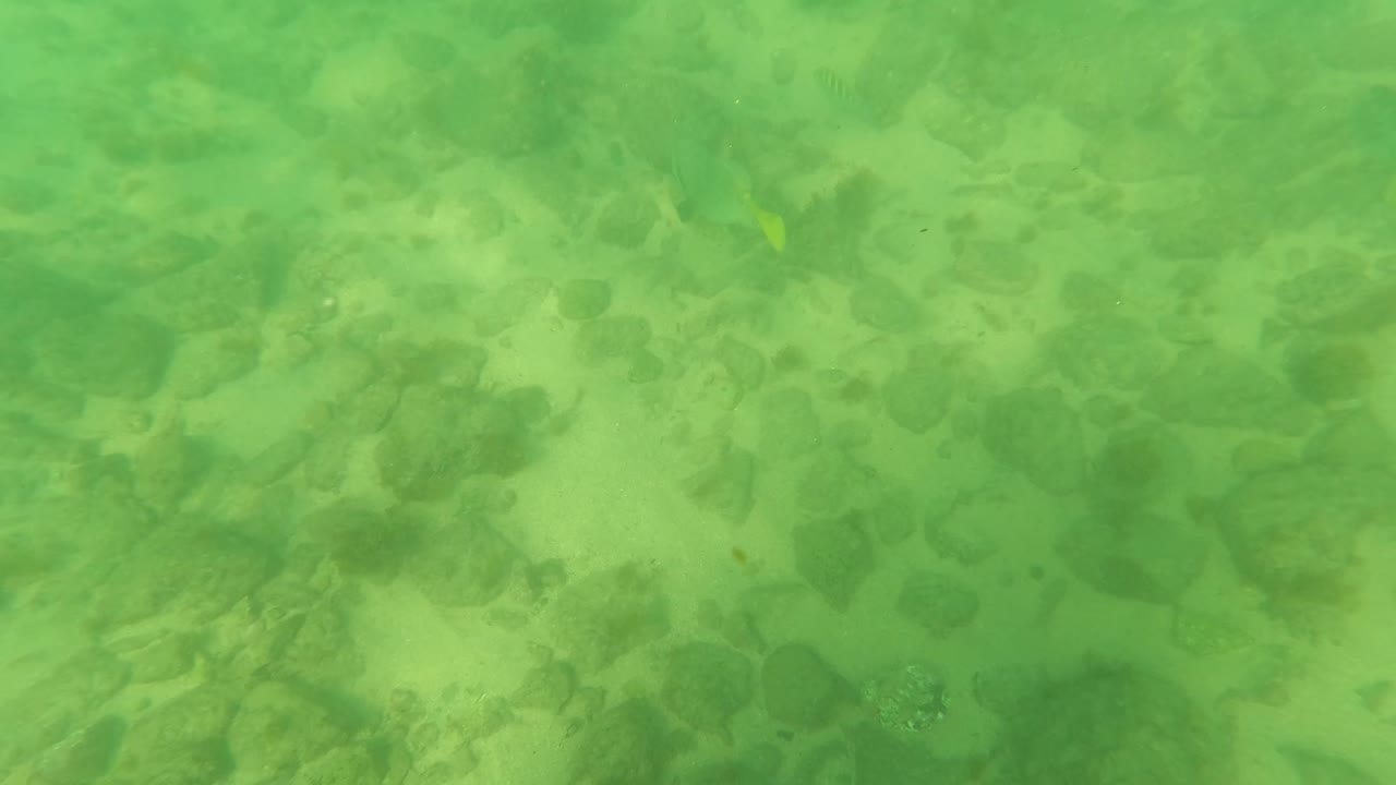 Underwater rocky bottom with green water and scattered pebbles.