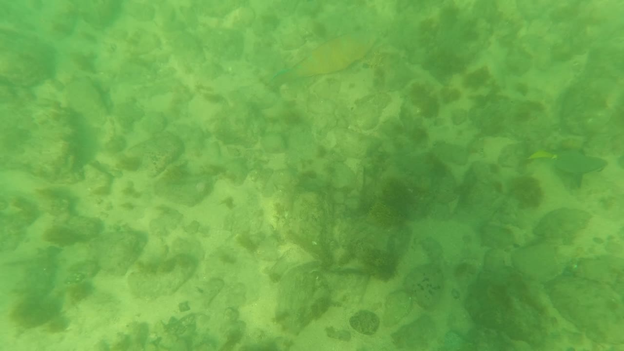 Underwater rocks and sand with small fish near the left side