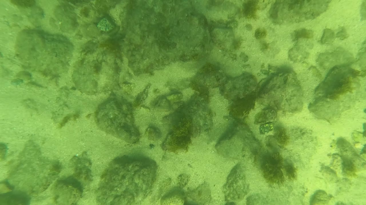 Underwater frame from Los Barriles showing a broad patch of sandy ocean floor, scattered stones, darker algae, and no visible people.
