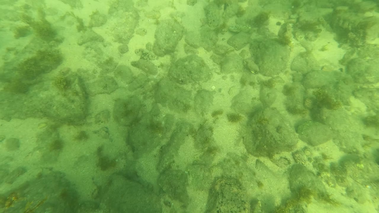 Mid-clip underwater view in Los Barriles with larger rock shapes, algae growth, pale sand, and no visible people.