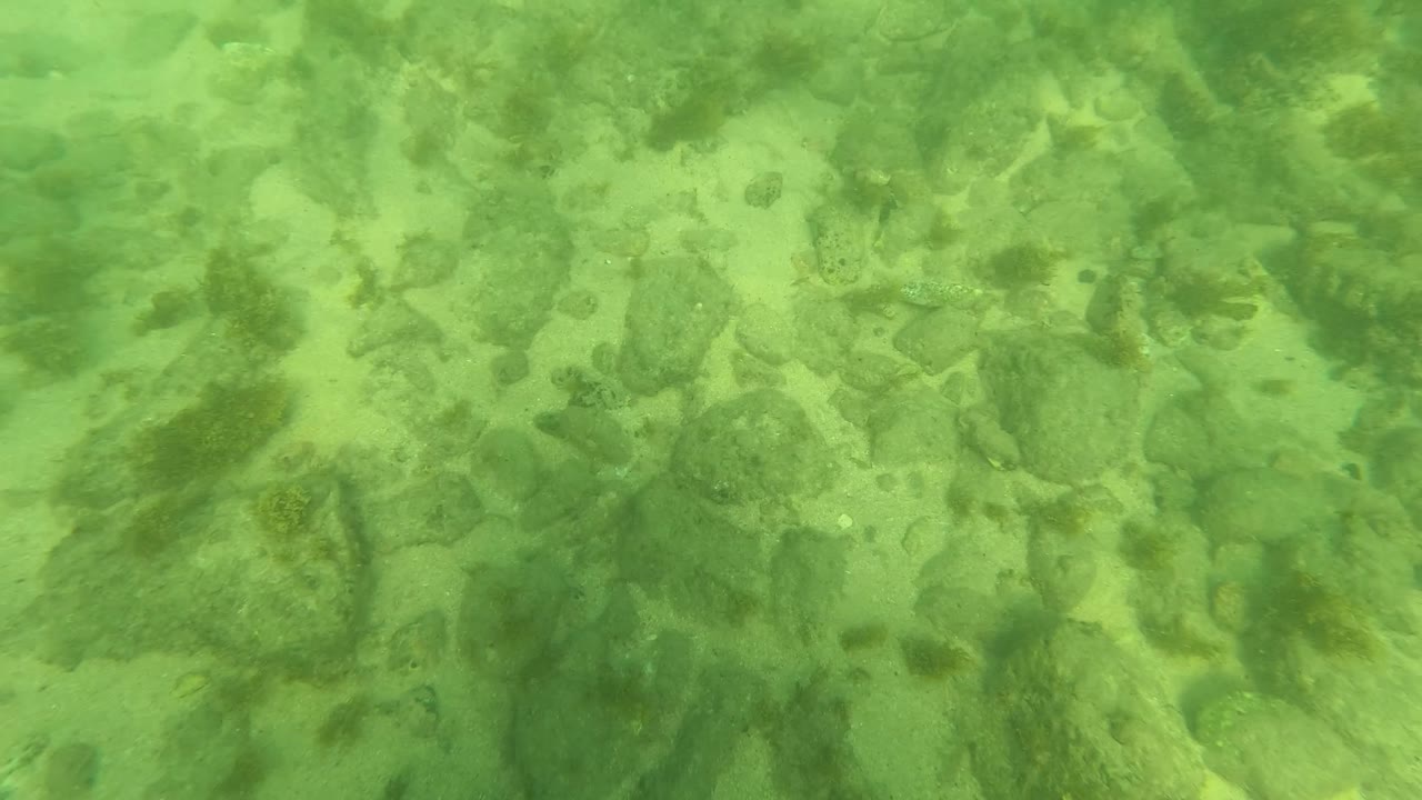 Sandy seabed with scattered stones under green water.