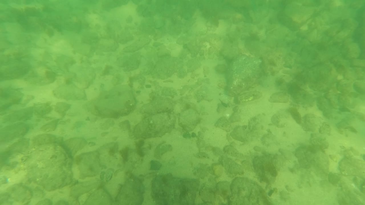 A close underwater look at sand and scattered rocks beneath green water in Los Barriles, Baja California Sur, with no visible people.