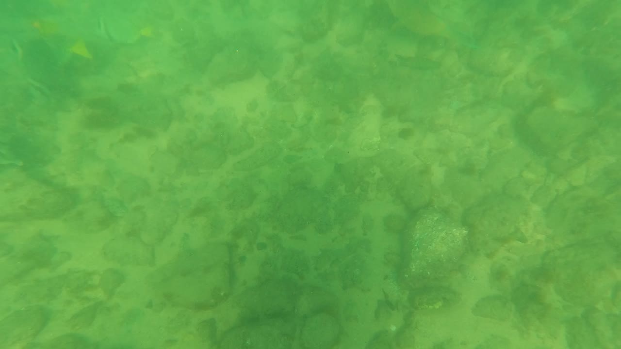 Green water fills the view over a mottled rocky ocean floor in Los Barriles, Baja California Sur, with no visible people or structures.