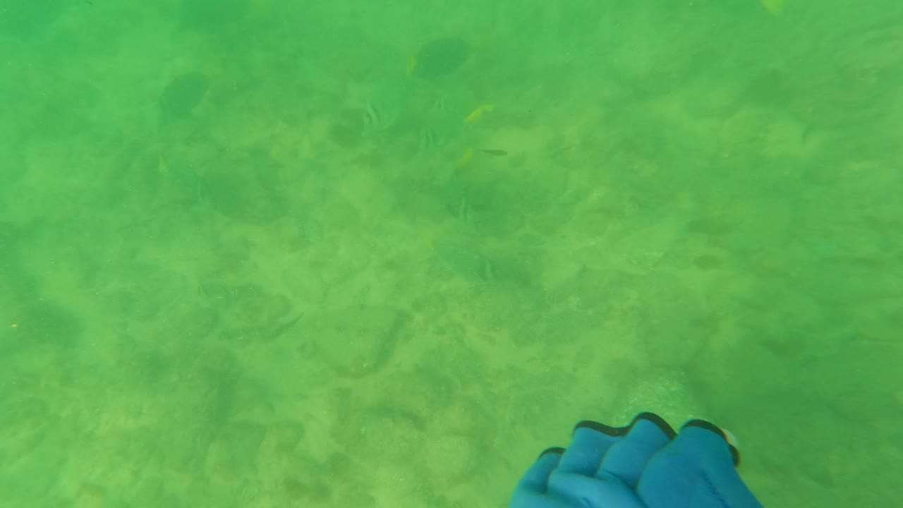 The underwater view shows green water, seabed rocks, faint small fish, and the edge of a blue diver glove entering low in frame in Los Barriles, Baja California Sur.