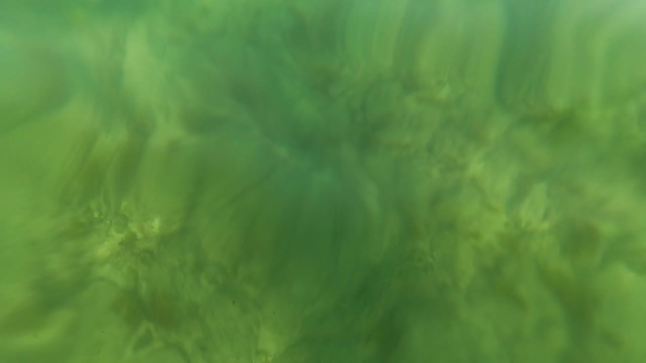 Opening underwater frame from Los Barriles, Baja California Sur, showing green-tinted water over rocks and sand with small fish and no visible people.