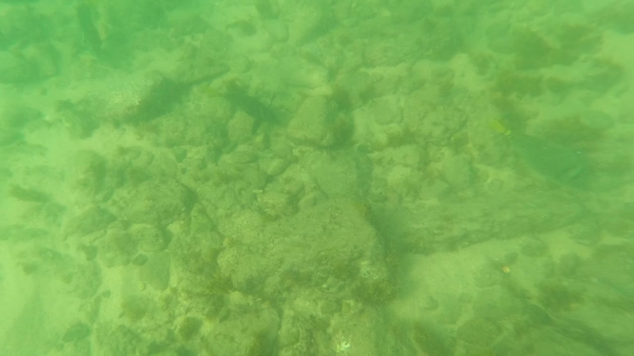 Mid-clip underwater frame from Los Barriles, Baja California Sur, showing darker rock clusters, sand patches, green water, and no visible people.