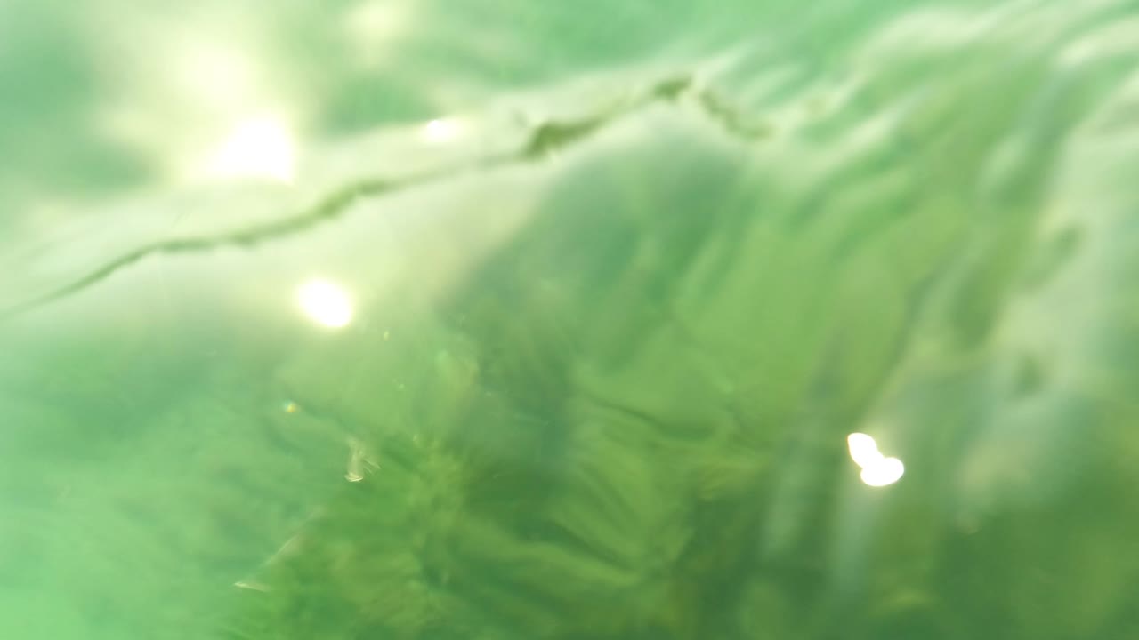 Close water surface with sun glare and green wave texture