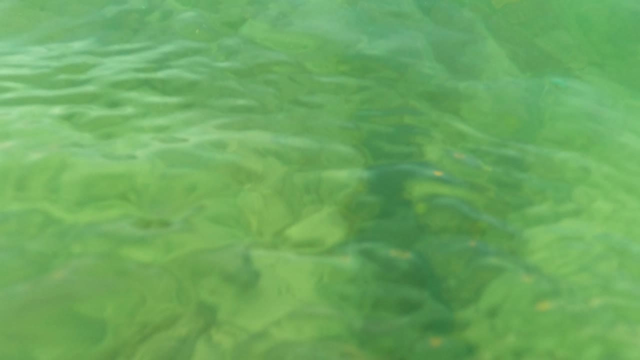 Clear green water ripples near a dock rope in Los Barriles, Baja California Sur, with faint underwater forms and no visible people.