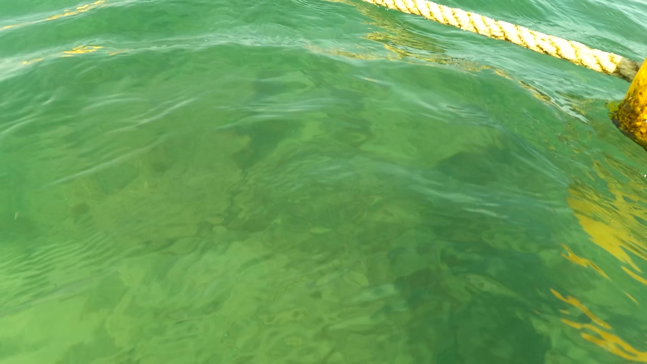Rippling green water beside a yellow dock post and rope in Los Barriles, Baja California Sur, with no visible people in the frame.