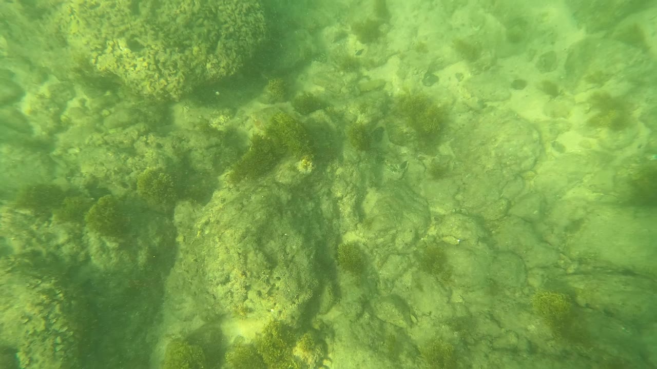 Rocky underwater seabed under green water
