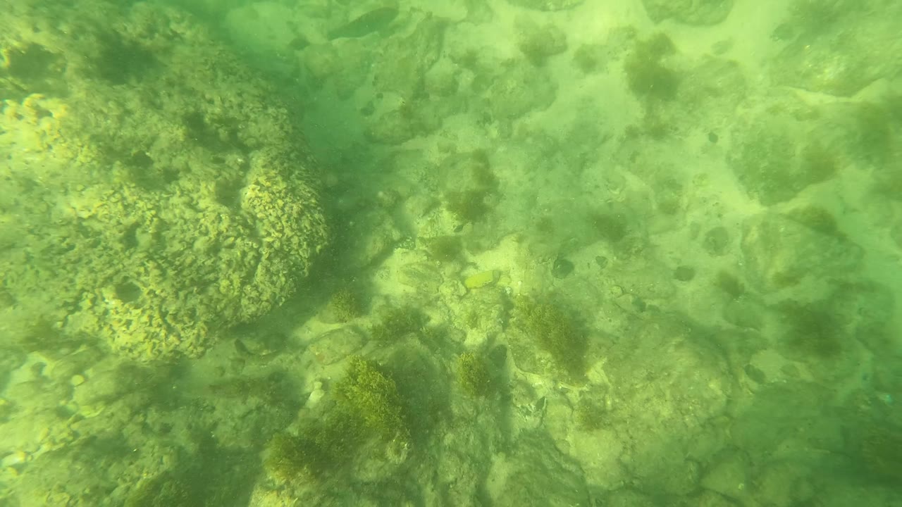 Underwater frame in Los Barriles, Baja California Sur, with larger algae-coated rocks crossing the center and smaller stones visible below green water, with no visible people.
