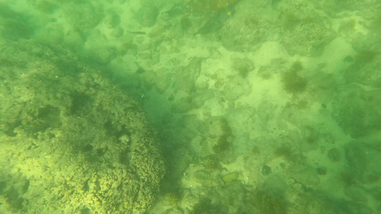 Mid-clip underwater view in Los Barriles, Baja California Sur, where scattered rocks and sandy patches sit under hazy green water, with no visible people.