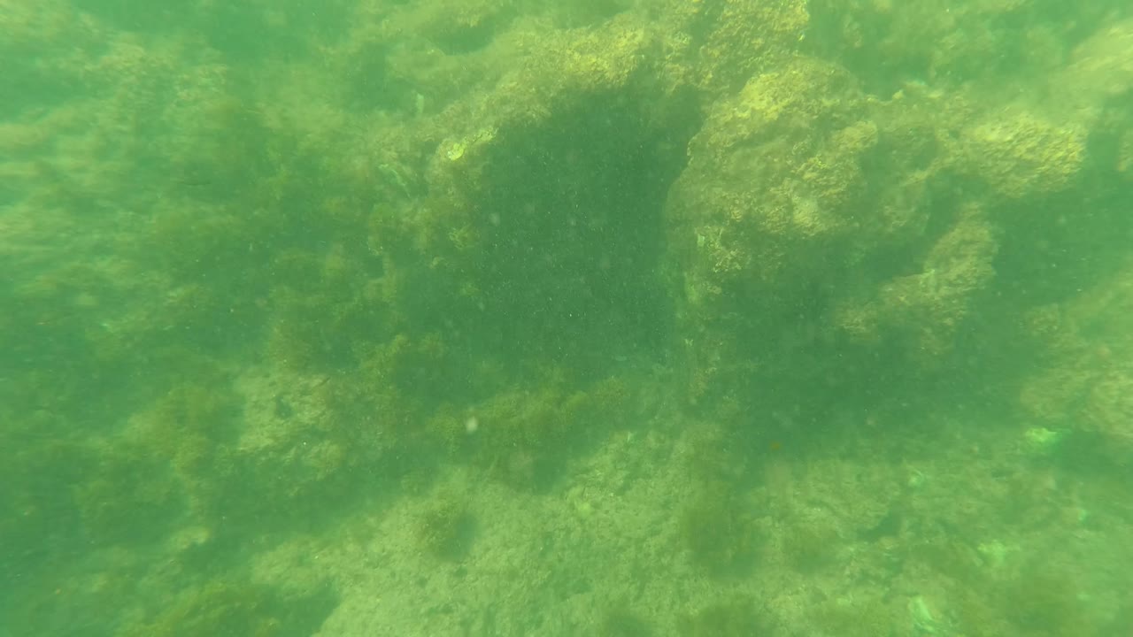Los Barriles underwater view with larger algae-coated rocks in the upper frame, hazy green water, pale seabed below, and no visible people.