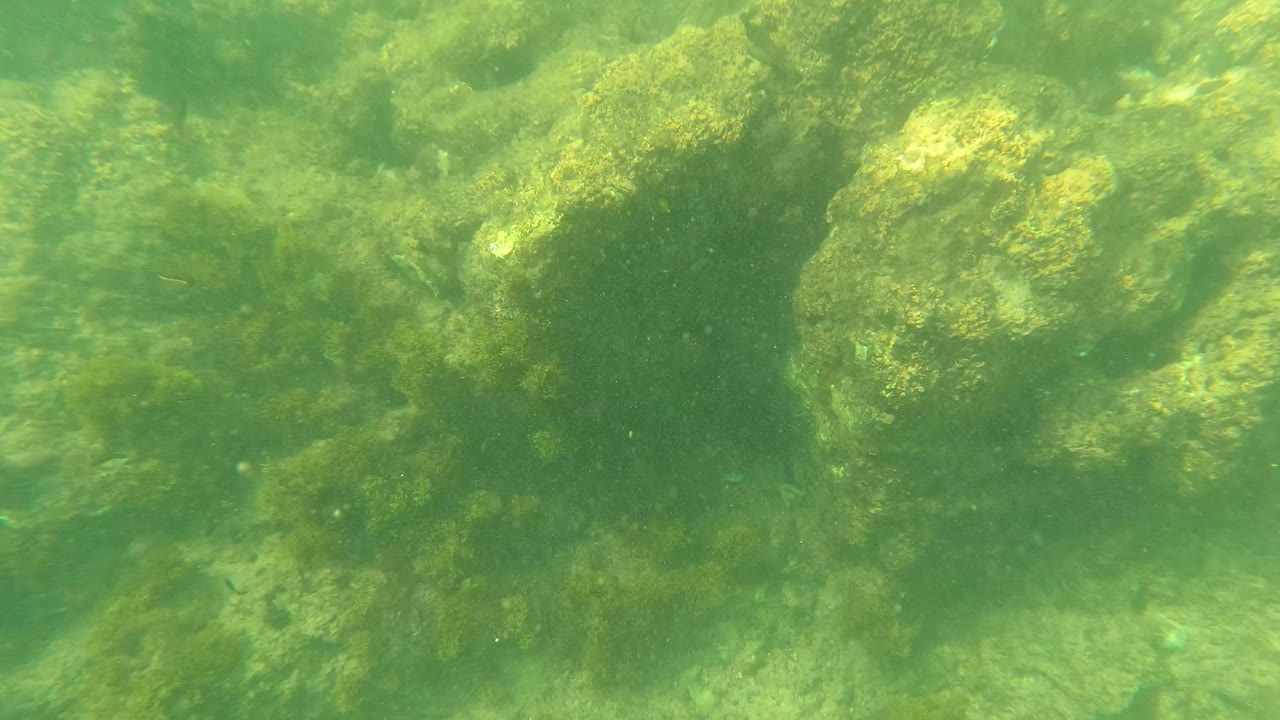 Underwater seabed in Los Barriles, Baja California Sur, with clustered rocks, algae growth, green water, sandy patches, and no visible people.