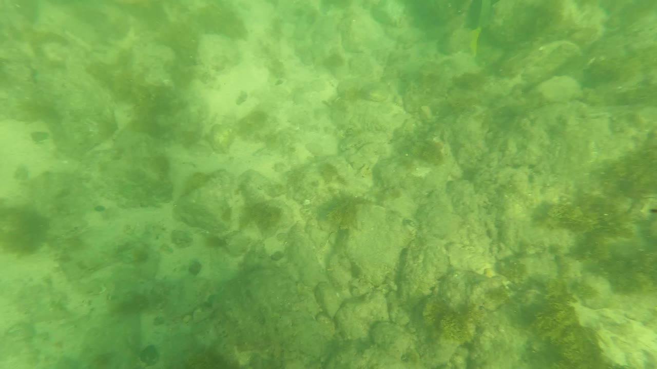 At 0:02, the frame shows pale sandy gaps between underwater rocks in Los Barriles, with small fish specks and muted seaweed patches under green light, with no visible people.