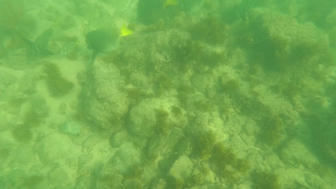 At 0:02, the underwater view in Los Barriles shows more open sandy gaps between algae-covered rocks, with small fish visible in the green water and no visible people.