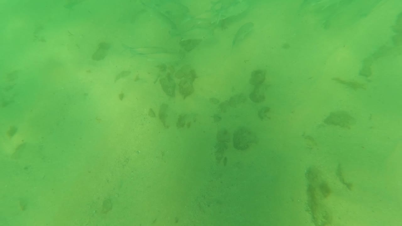 Third frame reveals more of the sandy seabed below the green water in Los Barriles, with scattered fish shapes and no visible people.