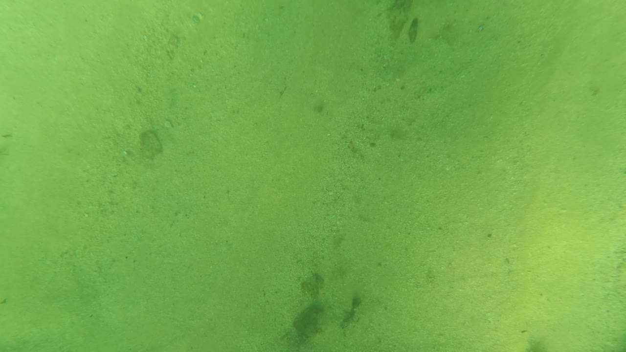 Fourth frame looks down over pale sand in Los Barriles with small fish, faint algae patches, and no visible people.