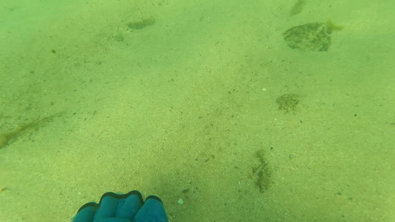 A blue gloved hand appears along the lower edge over a sandy seabed in Los Barriles, Baja California Sur, Mexico, with small fish and scattered rocks beyond it, no visible people.