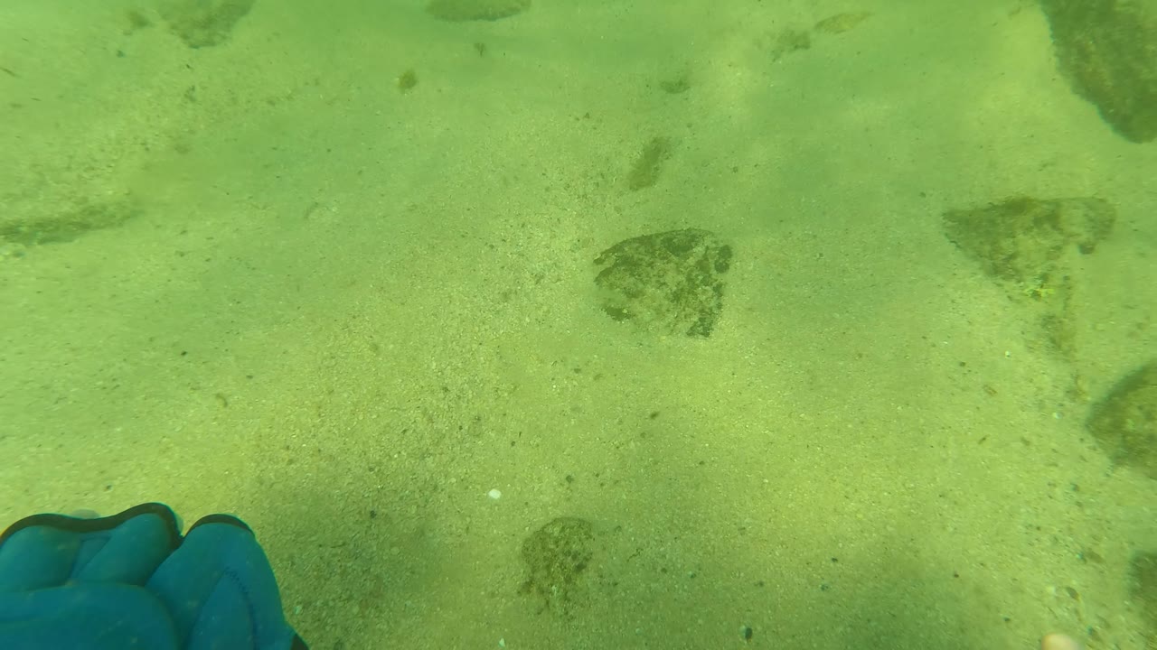 The blue glove sits near the lower center of the Los Barriles underwater frame while small fish hover over pale sand and isolated rocks, no visible people.