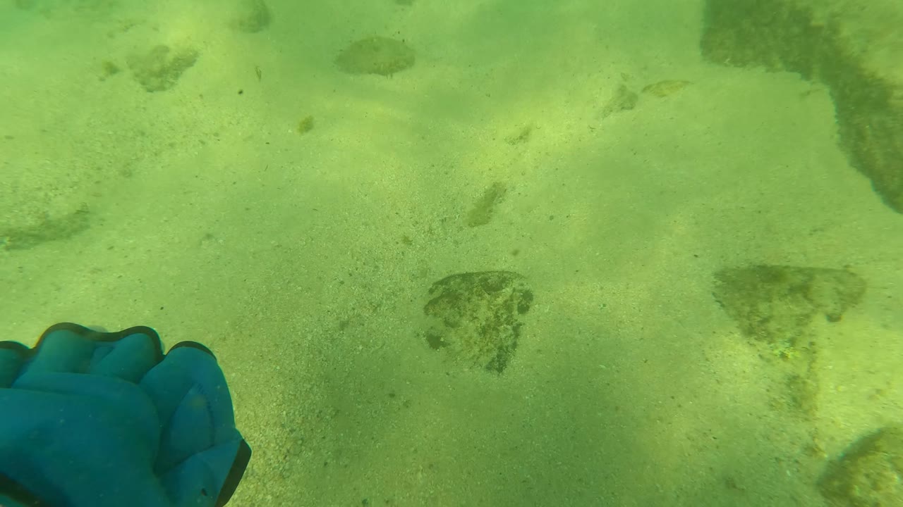 A blue gloved hand remains at the lower left of the Los Barriles seabed view, with sandy bottom, dark rock patches, and small fish across the frame, no visible people.