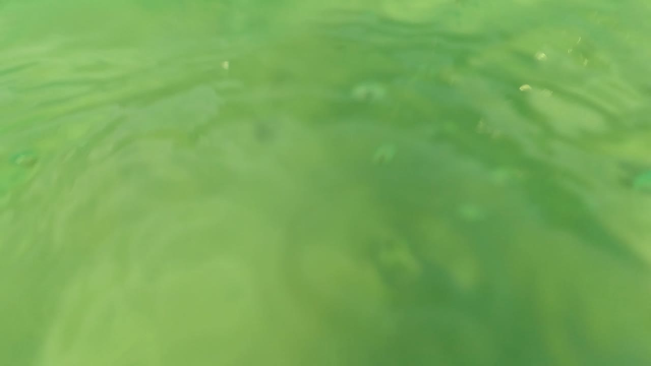Underwater view in Los Barriles, Baja California Sur, with green water, pale sandy seabed, surface ripple at left, a small fish near the upper right, and no visible people.
