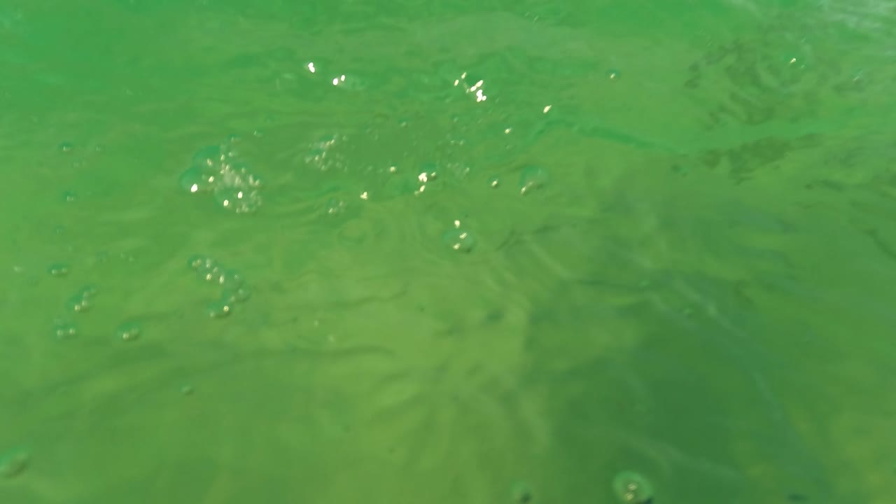Bubbles and green water over a sandy seabed.