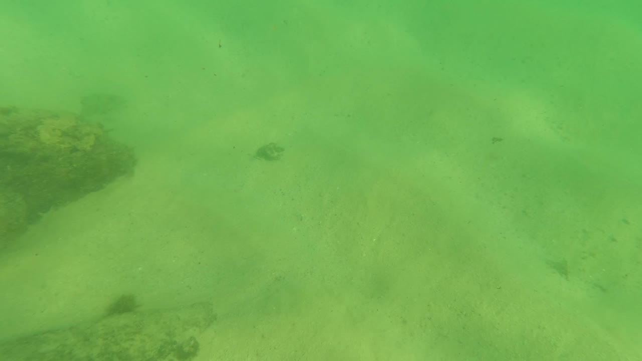 Opening underwater frame in Los Barriles, Baja California Sur, showing green water over a sandy seabed with dark rocks and no visible people.