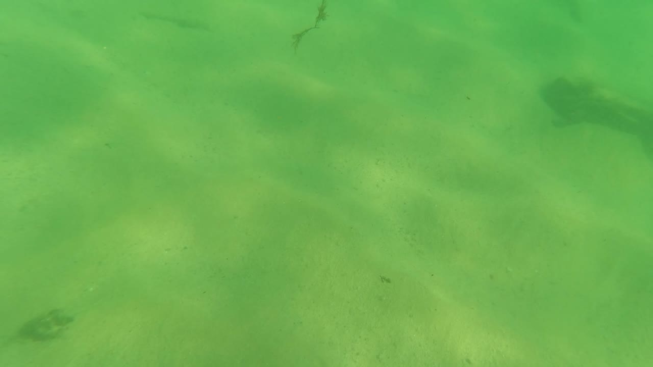 Los Barriles underwater frame with pale sand, green light, a small fish near center, darker seabed patches, and no visible people.